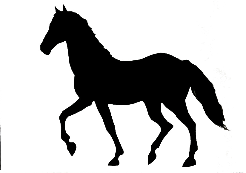 CAVALLO 4